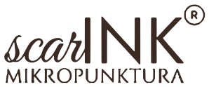 scarINK